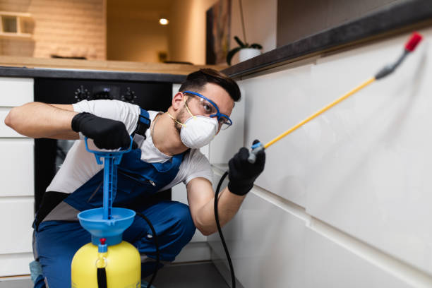 Pest Prevention Services in Statesville, NC
