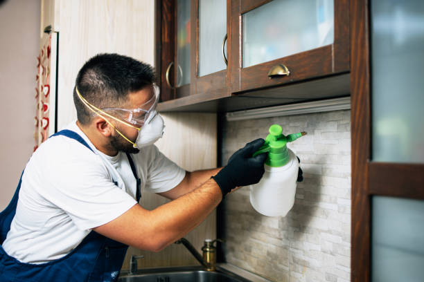 Best Mosquito Control Services  in Statesville, NC