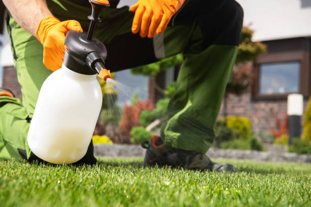 Best Pest Control for Homes  in Statesville, NC