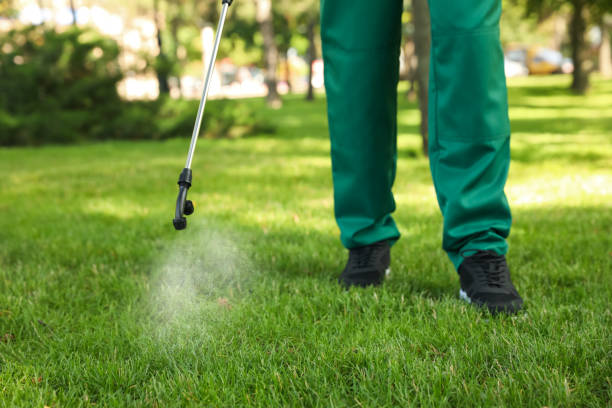 Best Affordable Pest Control Services  in Statesville, NC