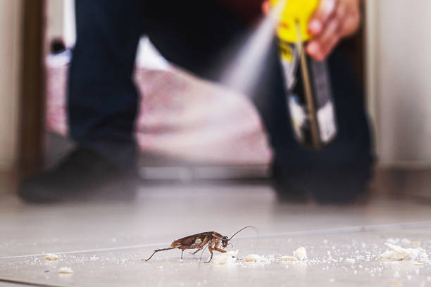 Best Flea Control Services  in Statesville, NC