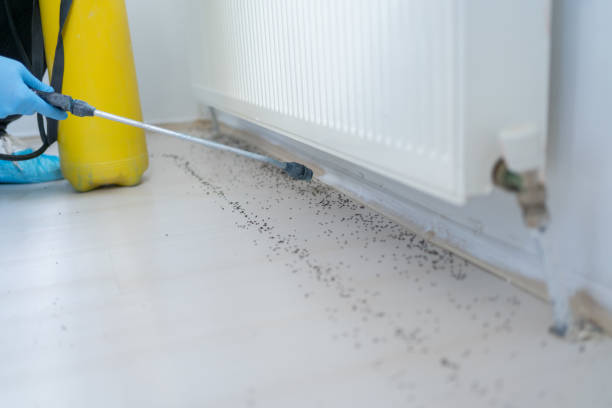 Best Bed Bug Extermination  in Statesville, NC