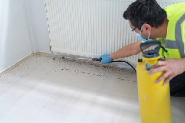 Flea Control Services in Statesville, NC