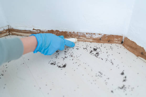 Best Pest Control Treatment  in Statesville, NC